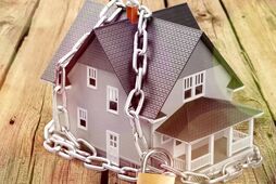 Закон "о продаже собак"