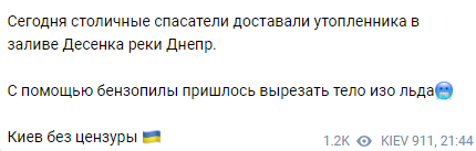 Скриншот: спасатели достали тело утопленника из реки